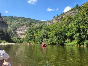 IMG_20250731_124140713_HDR_120203